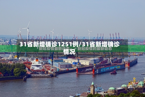 31省新增确诊1251例/31省新增确诊情况-第3张图片