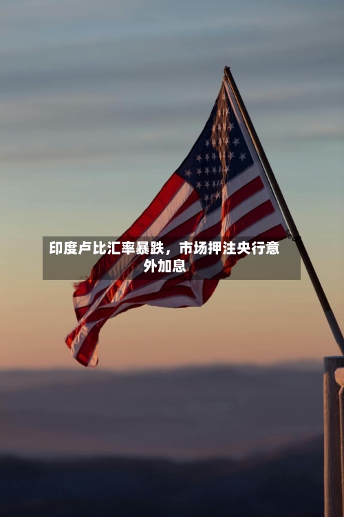 印度卢比汇率暴跌，市场押注央行意外加息-第2张图片