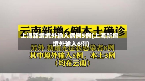 上海新增境外输入病例5例(上海新增境外输入6例)-第2张图片