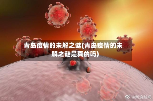 青岛疫情的未解之谜(青岛疫情的未解之谜是真的吗)-第2张图片