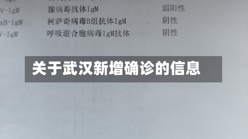 关于武汉新增确诊的信息-第2张图片