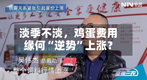 淡季不淡，鸡蛋费用缘何“逆势”上涨？-第2张图片