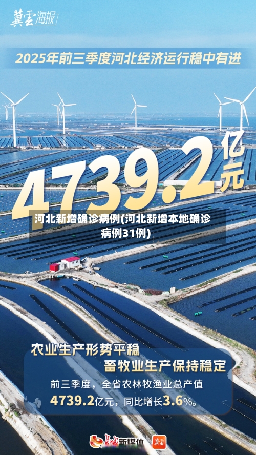 河北新增确诊病例(河北新增本地确诊病例31例)-第2张图片