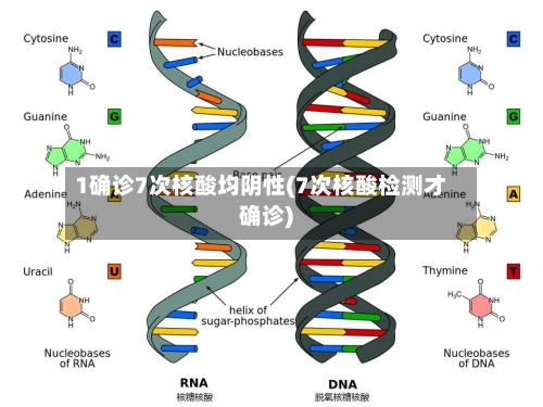 1确诊7次核酸均阴性(7次核酸检测才确诊)-第2张图片