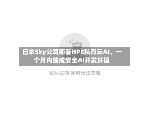 日本Sky公司部署HPE私有云AI，一个月内建成安全AI开发环境-第3张图片