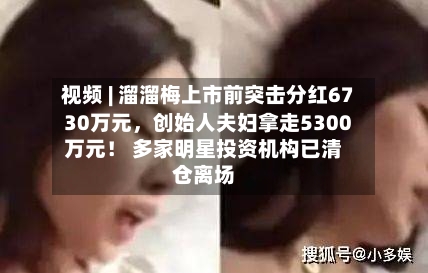 视频 | 溜溜梅上市前突击分红6730万元，创始人夫妇拿走5300万元！ 多家明星投资机构已清仓离场-第2张图片