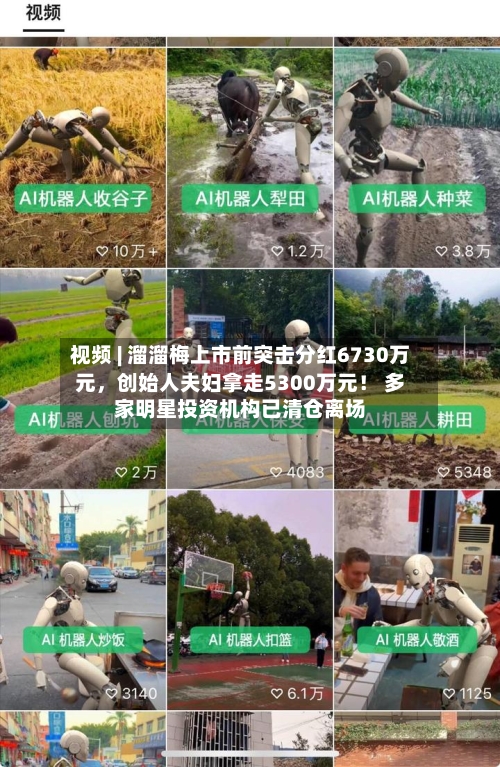 视频 | 溜溜梅上市前突击分红6730万元，创始人夫妇拿走5300万元！ 多家明星投资机构已清仓离场-第3张图片