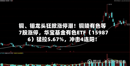 铜	、钼龙头狂掀涨停潮！铜陵有色等7股涨停，华宝基金有色ETF（159876）猛拉5.67%，冲击4连阳！-第2张图片
