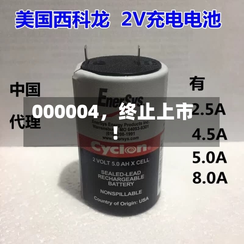 000004，终止上市！-第2张图片