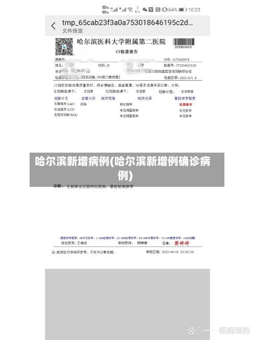 哈尔滨新增病例(哈尔滨新增例确诊病例)