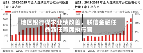 地区银行谋求业绩改善，联信金融任命新任首席执行官-第3张图片