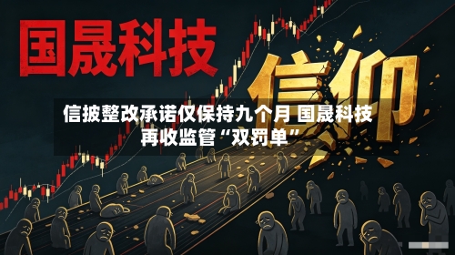信披整改承诺仅保持九个月 国晟科技再收监管“双罚单”-第2张图片