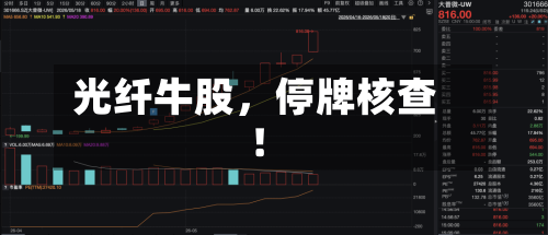 光纤牛股，停牌核查！
