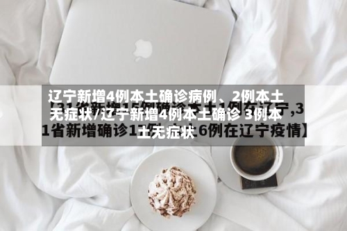 辽宁新增4例本土确诊病例、2例本土无症状/辽宁新增4例本土确诊 3例本土无症状-第2张图片