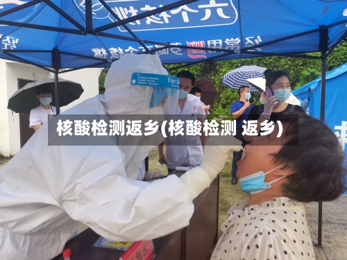 核酸检测返乡(核酸检测 返乡)-第2张图片