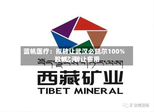 蓝帆医疗：拟转让武汉必凯尔100%股权，转让费用1.9亿元-第2张图片