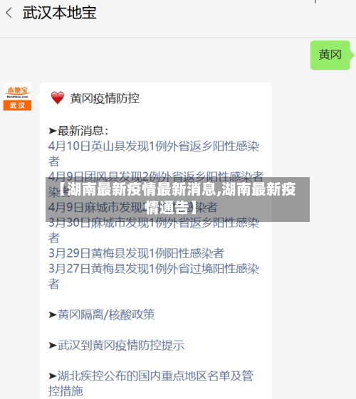 【湖南最新疫情最新消息,湖南最新疫情通告】-第2张图片