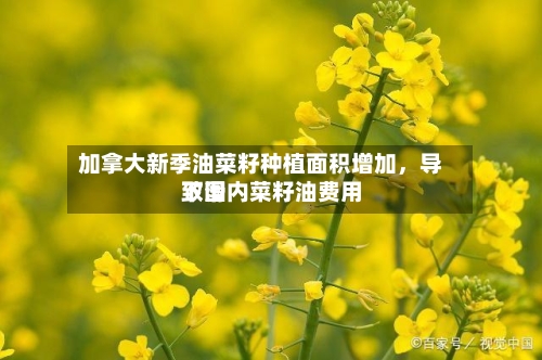加拿大新季油菜籽种植面积增加，导致国内菜籽油费用下滑-第2张图片
