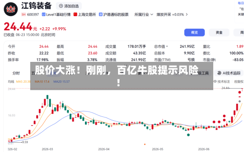 股价大涨！刚刚	，百亿牛股提示风险！-第2张图片
