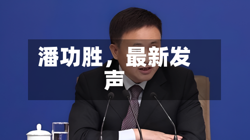 潘功胜，最新发声-第2张图片