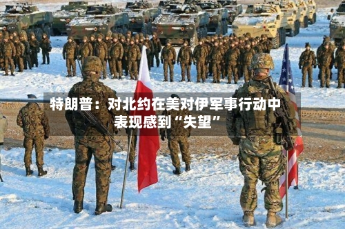 特朗普：对北约在美对伊军事行动中表现感到“失望	”-第3张图片