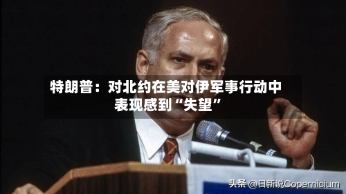 特朗普：对北约在美对伊军事行动中表现感到“失望”-第2张图片