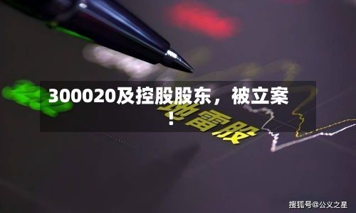 300020及控股股东，被立案！-第2张图片