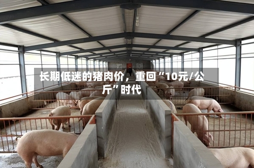 长期低迷的猪肉价，重回“10元/公斤”时代