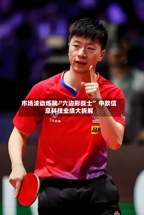 市场波动炼就“六边形战士” 中欧信息科技业绩大拆解-第2张图片