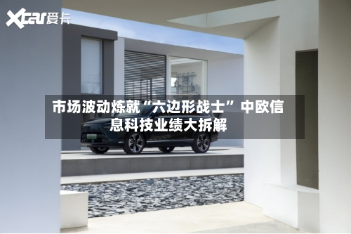 市场波动炼就“六边形战士” 中欧信息科技业绩大拆解-第3张图片