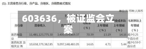 603636，被证监会立案-第3张图片