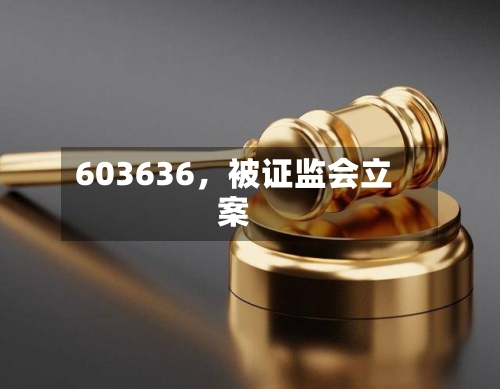 603636	，被证监会立案-第2张图片