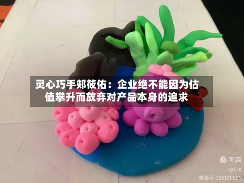 灵心巧手郏筱佑:企业绝不能因为估值攀升而放弃对产品本身的追求-第3张图片