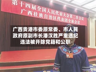 广西贵港市委原常委、市人民政府原副市长潘汉胜严重违纪违法被开除党籍和公职-第2张图片