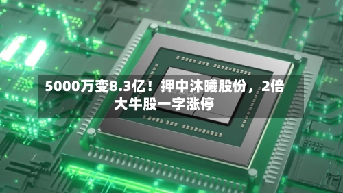 5000万变8.3亿！押中沐曦股份	，2倍大牛股一字涨停-第3张图片