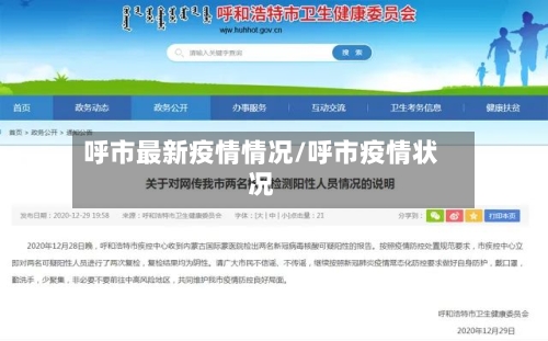 呼市最新疫情情况/呼市疫情状况-第3张图片