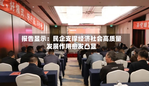 报告显示:民企支撑经济社会高质量发展作用愈发凸显-第2张图片