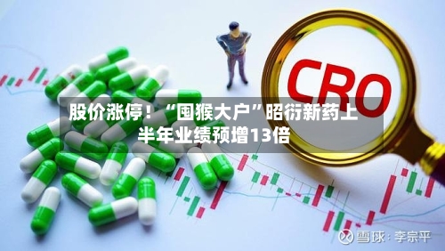 股价涨停！“囤猴大户”昭衍新药上半年业绩预增13倍-第2张图片