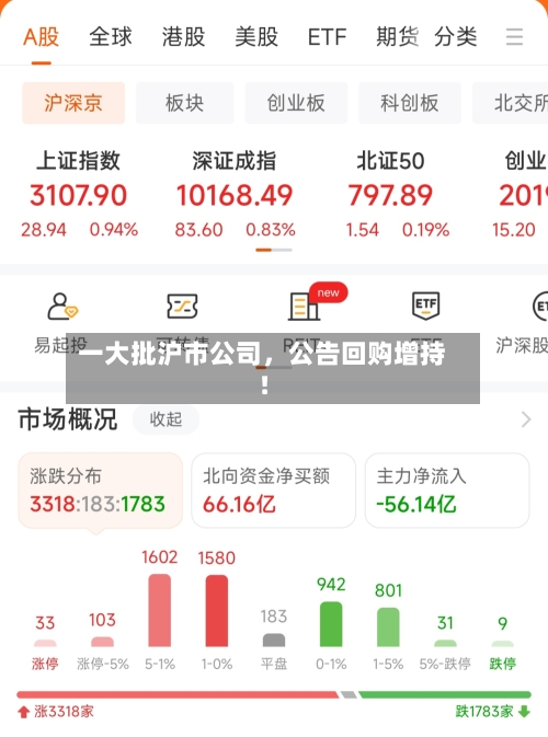 一大批沪市公司	，公告回购增持！-第3张图片