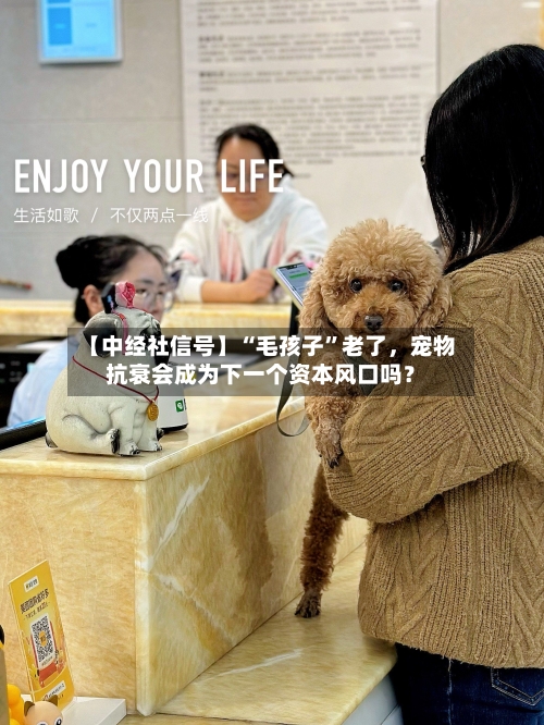 【中经社信号】“毛孩子”老了	，宠物抗衰会成为下一个资本风口吗？-第2张图片