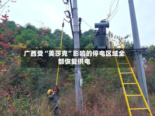 广西受“美莎克”影响的停电区域全部恢复供电-第2张图片