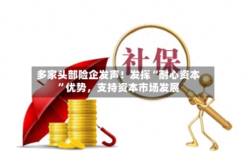 多家头部险企发声！发挥“耐心资本”优势	，支持资本市场发展-第3张图片