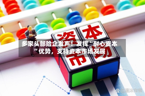多家头部险企发声！发挥“耐心资本	”优势	，支持资本市场发展-第2张图片