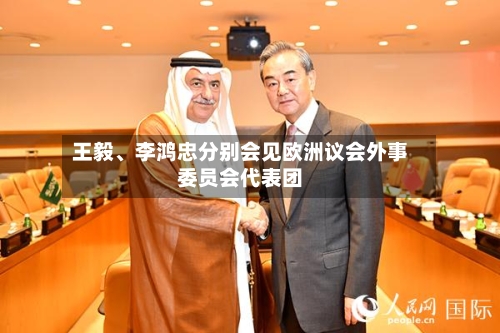 王毅、李鸿忠分别会见欧洲议会外事委员会代表团-第2张图片