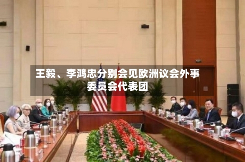 王毅、李鸿忠分别会见欧洲议会外事委员会代表团-第3张图片