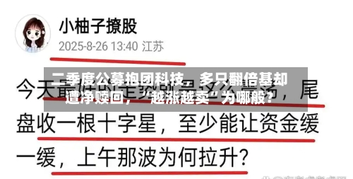 二季度公募抱团科技，多只翻倍基却遭净赎回	，“越涨越卖”为哪般？-第2张图片