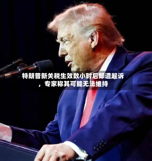特朗普新关税生效数小时后即遭起诉，专家称其可能无法维持-第3张图片