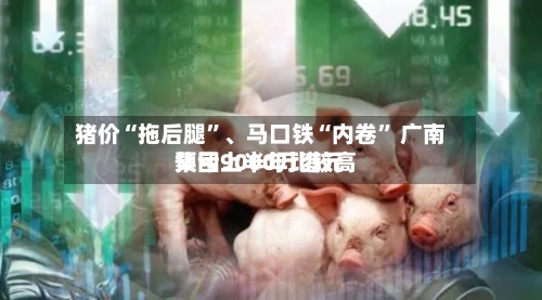 猪价“拖后腿	”、马口铁“内卷” 广南集团上半年比较高预亏9000万港元-第2张图片