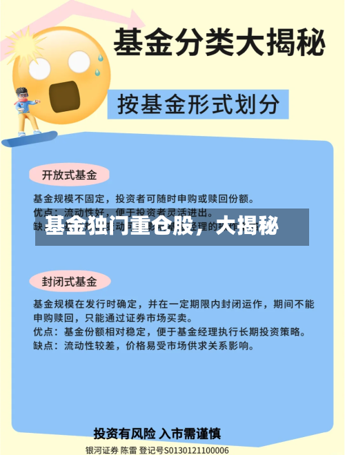 基金独门重仓股	，大揭秘-第3张图片