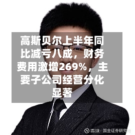 高斯贝尔上半年同比减亏八成	，财务费用激增269%，主要子公司经营分化显著-第2张图片